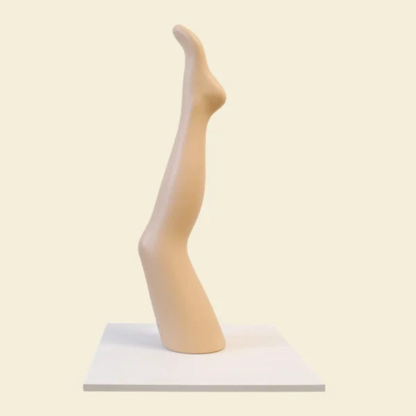 gamba donna espositiva per calza